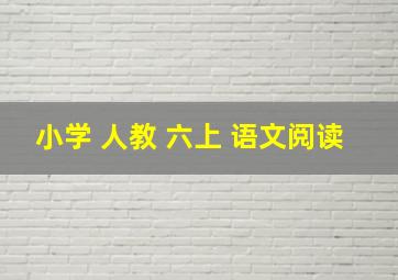 小学 人教 六上 语文阅读